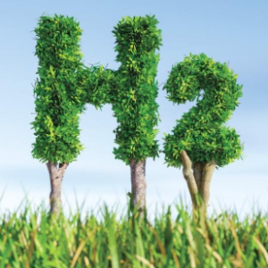 Building Oman’s Local Green Hydrogen Market